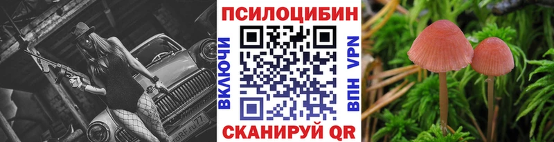 Псилоцибиновые грибы Psilocybine cubensis  Белогорск 